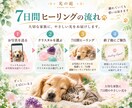 大切なペットを7日間クリスタルの光で癒します その子に合わせたクリスタルを選び、7日間やさしく寄り添います イメージ3