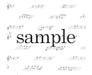 耳コピ可！ボーカル／メロディ譜・ピアノ譜作ります 楽器ソロパート譜／音源から耳コピでピアノ譜／MIDI楽譜化 イメージ3