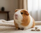 誰にも言えないモヤモヤ、30分じっくりお聞きします 愚痴や悩みを否定せず30分じっくり聞きます イメージ1