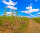 旅行計画を作成致します あなたが行きたい所は何処ですか？是非お手伝いさせてください！ イメージ3