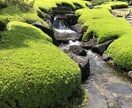 就職・転職相談乗ります 転職歴、公務員試験合格歴あり何でも聞きます！ イメージ1