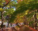 フリー素材の写真を提供します ヨーロッパの街並み、食べ物など　画角をこだわっています イメージ8