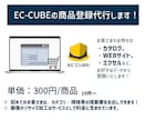 EC-CUBEの商品出品登録代行いたします 制作経験10年以上、プロの視点からEC−CUBEの商品登録 イメージ1