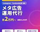 Meta広告(インスタ)の運用を設定から代行します メタ広告が月2万円から/フェイスブック・インスタ広告対応 イメージ1