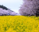 人知れず頑張っているあなたのことを褒めます 誰も認めてくれない！そんな不満をぶつけて下さい。 イメージ7