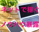 ネットでラクに稼げたすべての方法を暴露します ココナラで月30万以上売り上げた男が本気で教える最強の副業 イメージ1