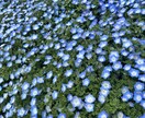気になるお相手の気持ちをタロットで鑑定します 癒しのエネルギーを送りながら波動修正をかけ望む方向へ。 イメージ1
