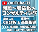 開設から収益化に特化｜伸び悩むCHをサポートします 基礎知識の解説・アナリティクス・改善指導でコンサルティング！ イメージ1