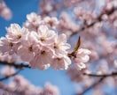 出張撮影！写真や動画を代わりに撮ります 出張撮影＆動画編集まで、この低価格でお任せください！ イメージ3