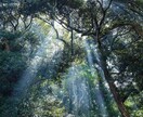 あなたの不安に寄り添い、優しく丁寧に占います 恋愛・人間関係・仕事の悩み誰にも言えない気持ちをお答えします イメージ2