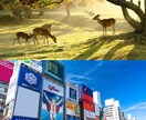 大阪・奈良　友達目線でスナップ写真を撮影します あなたのスマホであなたご自身を自然な印象で撮影します イメージ1