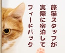 アワード受賞経験者が覆面宿泊！改善点レポートします 宿の魅力を最大化しませんか？クチコミ点数UPしたい方へ イメージ4
