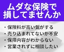 無駄な生命保険の見直します 30〜50代必見 月5000円を目標に生保のムダを探します イメージ2