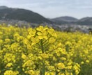 子どもに関するお悩み、なんでも受け止めます 保育を学ぶ大学生が一緒に悩み考えていきます❣️ イメージ1
