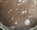 飲食業、料理好きな方に得する情報を提供します 出汁の引き方、求肥や和菓子、和食の仕込み！ イメージ2
