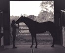 的中率＆回収率の安定した馬連ノウハウ、教えます 【中央競馬】初心者でも勝つノウハウ⚔️ イメージ1