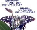 モノクロ１Cからロゴ・資格の入った４Cまで作成ます 名刺・資格者証・カードなど両面レイアウトを作成いたします イメージ1