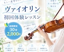 初回限定！ヴァイオリン30分レッスンします 初回の方のみお試しレッスンです イメージ1