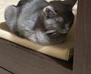 仕事、家庭、恋愛、対人関係何でも愚痴聞きます 愚痴聞きますよ( ᴖ ·̫ ᴖ ) イメージ2