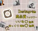 Instagram日本人フォロワー自然な増加します 50いいね特典付き！スーパー高品質！ゆっくり増加無料！ イメージ1