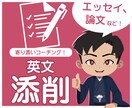 英文の添削＆書き方をやさしくコーチングします レポートや論文なども！海外院卒があなたの英文添削します イメージ1