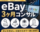 eBay外注化＋売上改善伴走3ヶ月コンサルします ビデオ+チャットebay7年目現役セラーがサポートします イメージ1