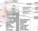病院実習・学校に提出するレポートをサポートします 効率の良い勉強方法は聞くことです イメージ5