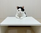 お悩みのご相談をお聞きします 悩んでいる、どうしよう、一緒に考えます。 イメージ2