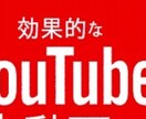 1ヶ月間YouTube広告のやり方を教えます データ分析しながら効果的なYouTube広告コンサルします イメージ2