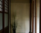 京都切リ撮リ宅配便！ご希望の写真を撮ります 京都の思い出の場所・人・物・事 の写真を撮ってきます イメージ3