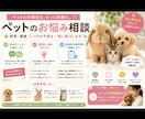 ペットのお悩み相談承ります 大切な家族のお悩みに丁寧に寄り添います イメージ2