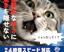 ペライチでホームページを丁寧に制作します HP知識が無くても大丈夫！理想のHPを丁寧に制作致します！ イメージ7