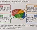 認知症になっても、ならなくても安心の秘訣を教えます 認知症ってなに？なんか不安なんだけど、という悩みを解消します イメージ8