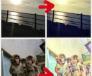 広告やブログなどに使いたい画像をお届けします 素朴な画像や風景写真をお探しの方にオススメです！ イメージ1