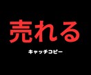 既存商品が売れるキャッチコピーを提供します 商品の売上や収入にとても困っている方へ イメージ1
