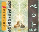 魂のカルテでペットの心を霊視し契約を読み解きます 「なぜ私のもとへ？」琉球の拝みで愛する子とのご縁を明かします イメージ1