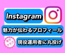インスタプロフィール文作成✨魅力を瞬時に伝えます インスタフォロワー3.5万運用者に伝わるプロフィール文丸投げ イメージ1