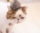 24h内回答☆タロットで占います 恋愛、仕事、家庭、対人関係などお気軽にご相談下さい イメージ1