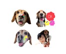 写真からオリジナルLINEスタンプ作成いたします 携帯に眠っている思い出の写真をスタンプにしませんか？ イメージ2