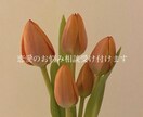 誰にも言えない恋愛相談にのります 周りの人に言いづらい恋愛で相談などがあればお気軽に イメージ1