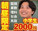 先着順！小学生｜朝昼！オンライン家庭教師します 国語、算数、理科、社会、英語！対応！8〜17時限定！土日も！ イメージ1