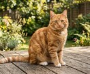 ねこすき様専用に出してます 初めてで何から始めたら良いか分からなくても大丈夫です！ イメージ1