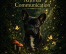 動物たちの言葉を通訳いたします 本当の気持ちをやさしく通訳します イメージ4