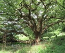 5分だけでも大丈夫。どんなお話もお聴きします ADHDの僕がお話をゆっくり聴きます（悩み・迷い何でもOK） イメージ3