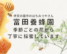 デザイン通りに忠実コーディング対応します FigmaやXDのデザインを丁寧に再現します イメージ5