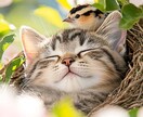 ペットのお悩みにお答えします ペットちゃんの問題行動など何でもご相談下さい イメージ2