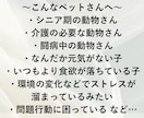アニマルコミュニケーターがペットヒーリングをします ⭐︎オーダーメイドの遠隔気功ペットヒーリングで癒しをお届け☆ イメージ2