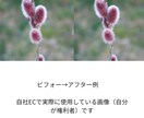 商品画像の切り抜き＆影付けます EC画像、1枚から即対応します イメージ2