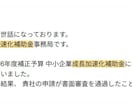 中小企業成長加速化補助金の合格の秘訣ご共有します 中小企業成長加速化補助金のお悩みを解決します！ イメージ3