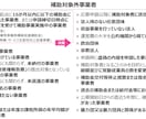 新事業進出補助金の事業計画書を作成します 【コンサル x 投資銀行出身者】短納期で高品質な事業計画書 イメージ10
